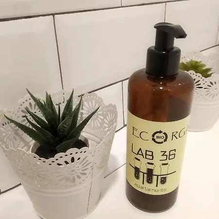 Lab 36 *