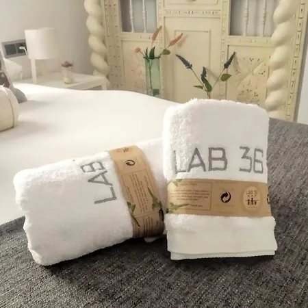 Lab 36 Malaga